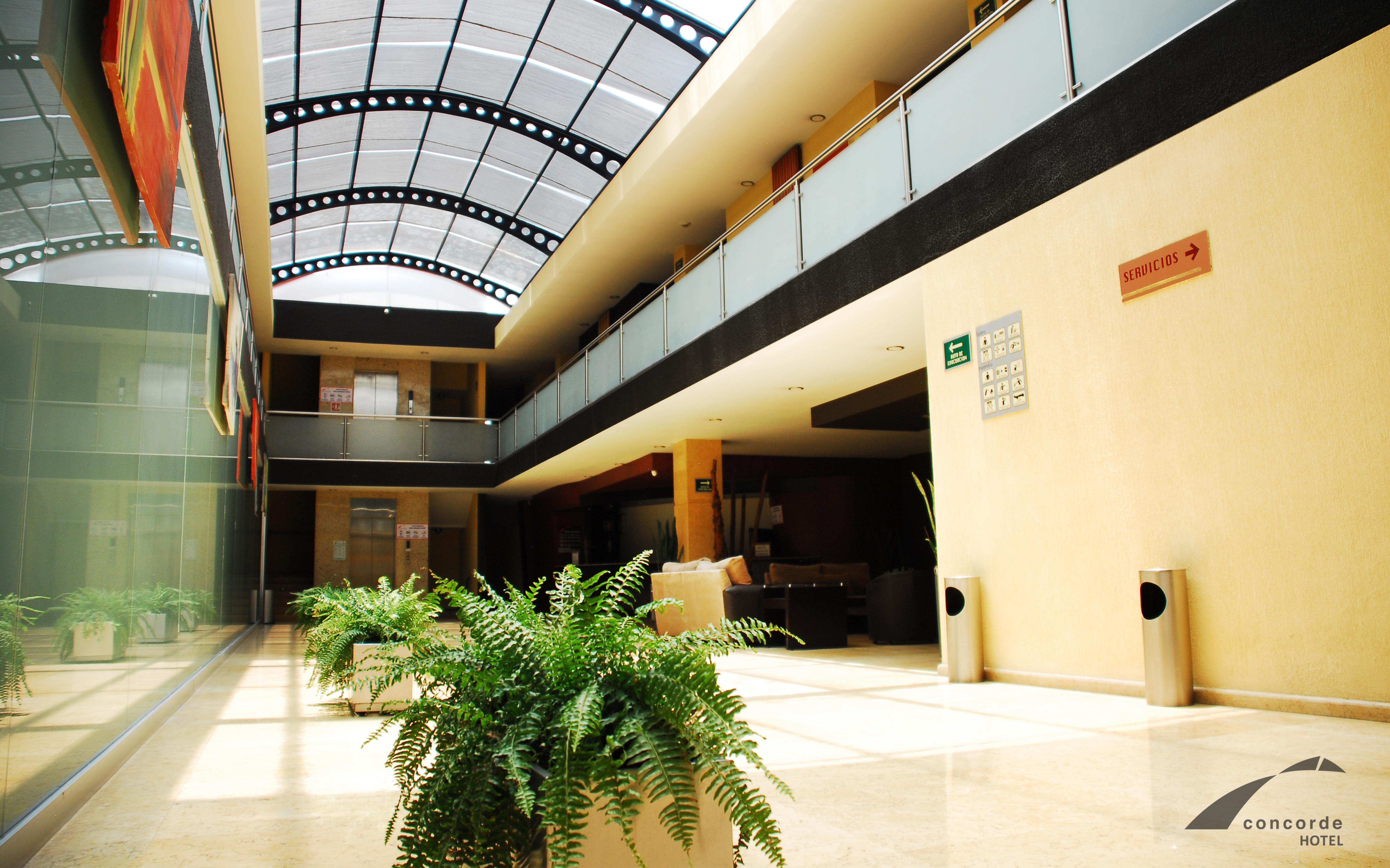 Hotel Concorde Toluca Extérieur photo